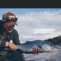 Stewiacke River Striped Bass