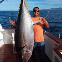 Ross Charters Sport Fishing Loreto BCS