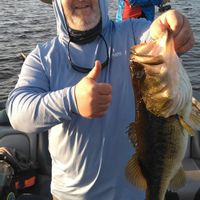 Bass Fishing Charters with Capt George Mro