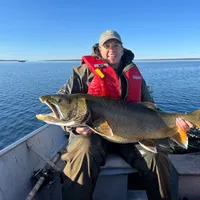 Lake Trout