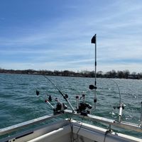 Triple F Charters
