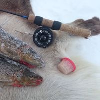 Ice fishing in Lapland