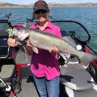 Fort Peck Lake, MT since 1993