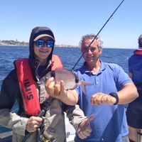 Cascais: Half-day Fishing Tour