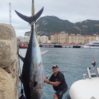 Tuna fishing Half day (4 hrs)