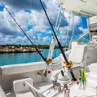 Private Fishing Charter - Luhrs 40'