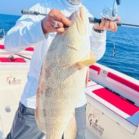 Proanglers Fishing Adventure Abu Dhabi