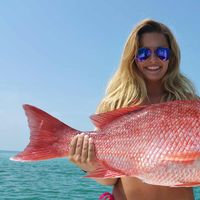 Top Rated Best Saltwater Fishing Charter