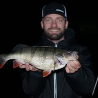 Danube Spinfishing: Zander, Perch & Co