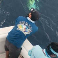 Picudo Sportfishing