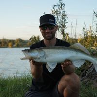 MULTI SPECIES Shore Spinning In Danube