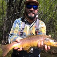 Fly fishing in Northern Patagonia