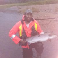 Guided Salmon and  trout fishing