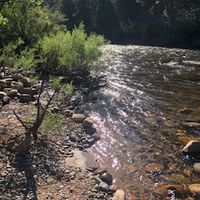 Guided River Fishing Trip