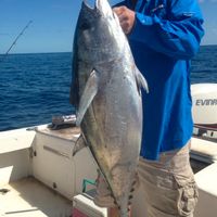 Florida Keys Inshore or Offshore Fishing