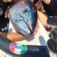 BIG GAME EXPERIENCE IN GAETA!!!