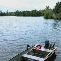 Striped Bass of the Stewiacke