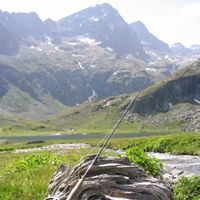 Fishing in streams and high-altitude trout lakes in the Pyrenees