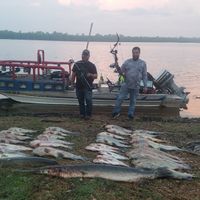 Guided Bowfishing Trips in North MS