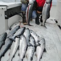 Exclusive group halibut/salmon fishing!