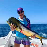 Cabo san lucas fishing Charters