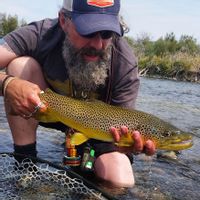 Madison River guided fly fishing!