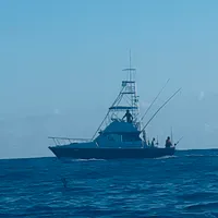 Half Day Deep Sea Fishing