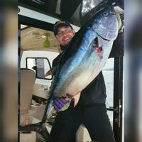 Bluefin and Halibut Fishing on Sakhalin and Kuril Islands