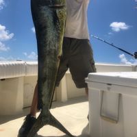Sport Fishing Florida Keys
