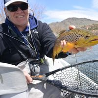 Yellowstone River Guided Fly Fishing