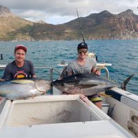 Hout Bay Charters - In the Bay