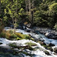 Valsesia fishing : one of the Alps gems