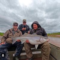 Striped bass fishing
