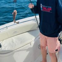 4 hour guided fishing charter
