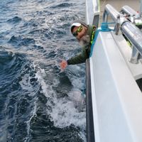 Tuna fishing in Donegal, Ireland