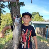 Topline Sport Fishing – Rio Vista