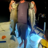 Wildcard Sport Fishing AM trip