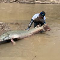 Alligator Gar Fishing Trip Near Dallas