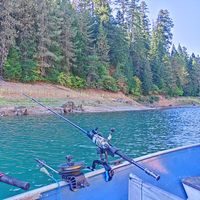 Multi Day Trout Fishing