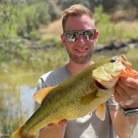 Black bass and Zander fishing