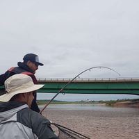 Stewiacke River Striped Bass