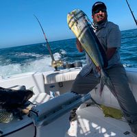 Ross Charters Sport Fishing Loreto BCS