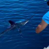 Aqua Fishing Charters