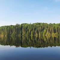 Remote Fishing Adventure