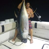 28 ft Sportfisher Fishing Charter