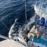Galapagos Marlin Fishing Charter