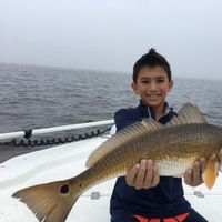 Professionally guided fishing trips.