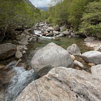 Valle Elvo: fishing alpine stream