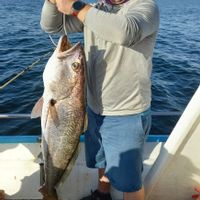 Deep Sea Fishing in Mossel Bay