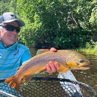 Jefferson River Guided Fly Fishing